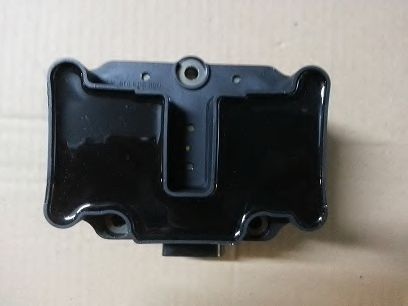 Катушка зажигания BSP22365 BUGIAD