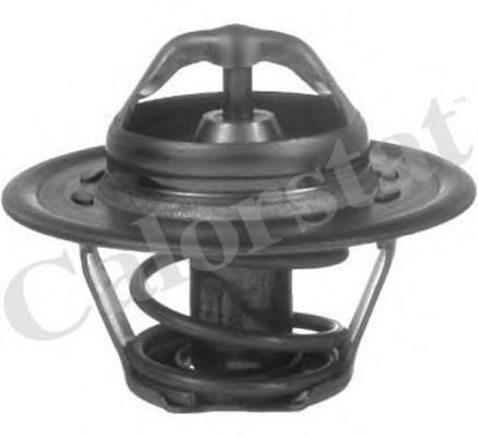 Термостат, охлаждающая жидкость TH5812.92J CALORSTAT by Vernet